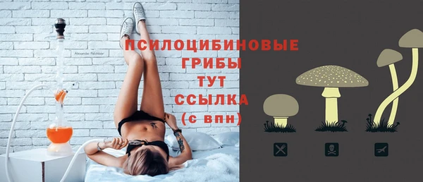 ешки Нефтегорск