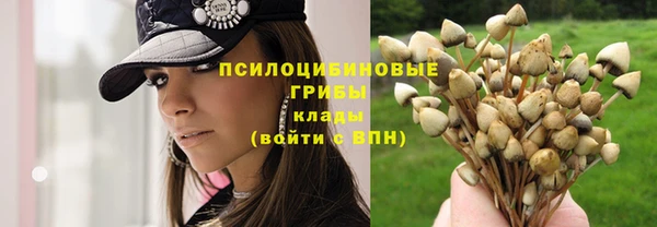 прущий лед Надым