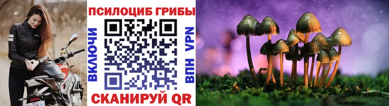 Псилоцибиновые грибы MAGIC MUSHROOMS  Нефтегорск 